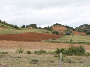 UA160730Wandeltocht40.JPG